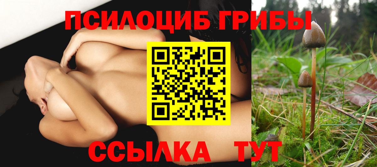 Галлюциногенные грибы прущие грибы Миасс