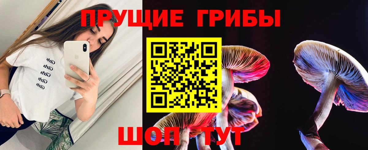 Миасс  Псилоцибиновые грибы ЛСД  Псилоцибиновые грибы мухоморы  Вход с VPN 